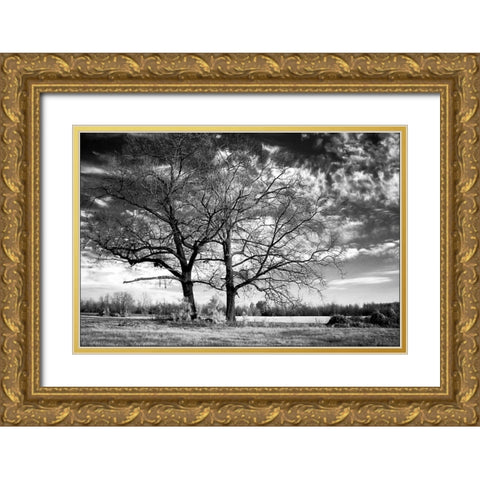 Roseville Oaks Gold Ornate Wood Framed Art Print with Double Matting by Hausenflock, Alan