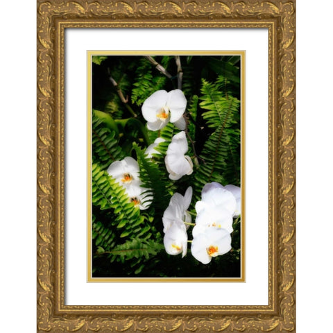 Orchids and Ferns I Gold Ornate Wood Framed Art Print with Double Matting by Hausenflock, Alan