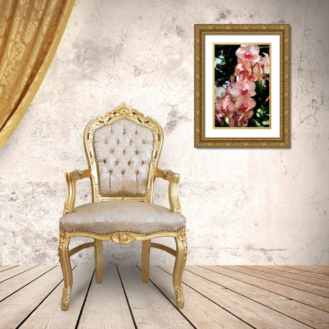 Moth Orchids V Gold Ornate Wood Framed Art Print with Double Matting by Hausenflock, Alan