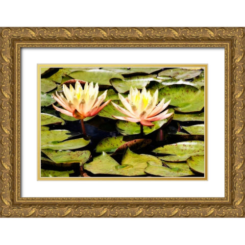 Blushing Lilies II Gold Ornate Wood Framed Art Print with Double Matting by Hausenflock, Alan