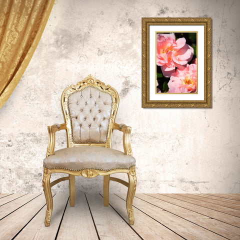 Wild Roses II Gold Ornate Wood Framed Art Print with Double Matting by Hausenflock, Alan