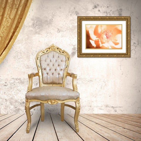 Melon Rose I Gold Ornate Wood Framed Art Print with Double Matting by Hausenflock, Alan