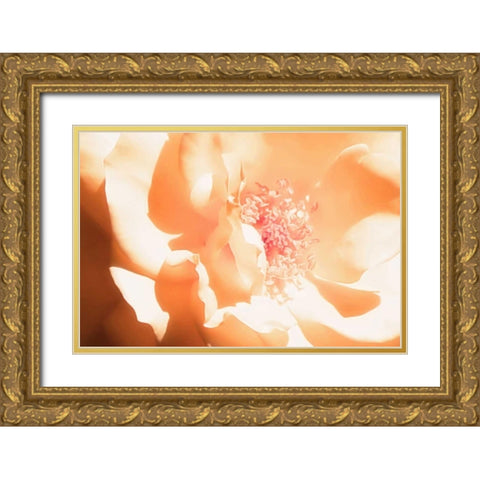 Melon Rose I Gold Ornate Wood Framed Art Print with Double Matting by Hausenflock, Alan