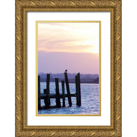 Seagulls at Sunset Gold Ornate Wood Framed Art Print with Double Matting by Hausenflock, Alan