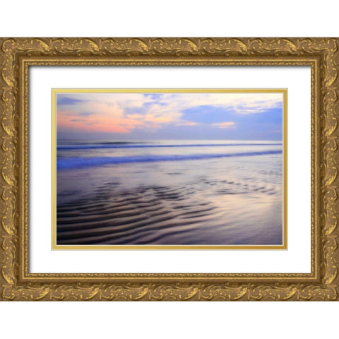 Soft Shore II Gold Ornate Wood Framed Art Print with Double Matting by Hausenflock, Alan