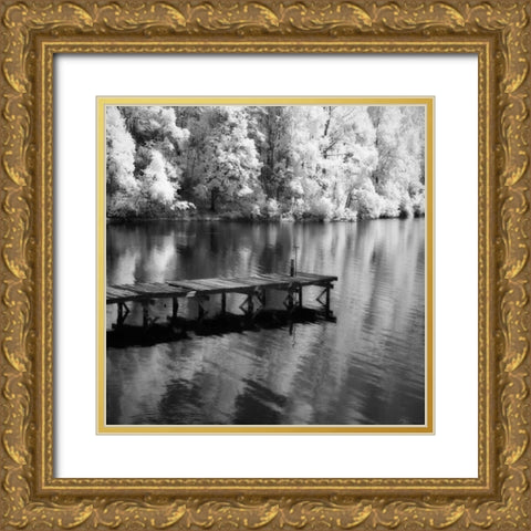 Mint Springs Lake Square III Gold Ornate Wood Framed Art Print with Double Matting by Hausenflock, Alan