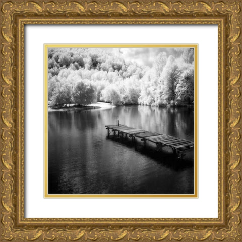 Mint Springs Lake Square IV Gold Ornate Wood Framed Art Print with Double Matting by Hausenflock, Alan