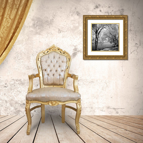 Hopewell Shores Square I Gold Ornate Wood Framed Art Print with Double Matting by Hausenflock, Alan