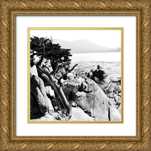 Ocean Cliff Square II Gold Ornate Wood Framed Art Print with Double Matting by Hausenflock, Alan