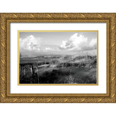 Dunes II Gold Ornate Wood Framed Art Print with Double Matting by Hausenflock, Alan