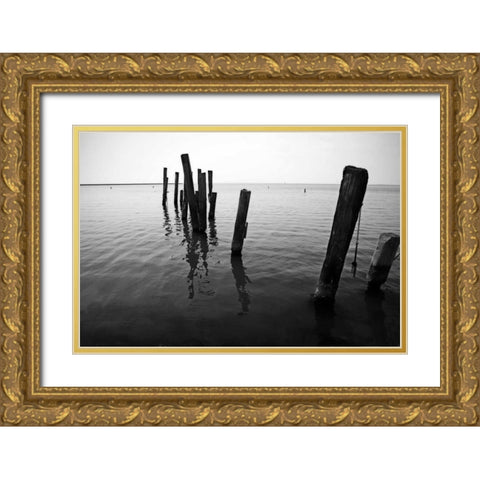 Pilings I Gold Ornate Wood Framed Art Print with Double Matting by Hausenflock, Alan