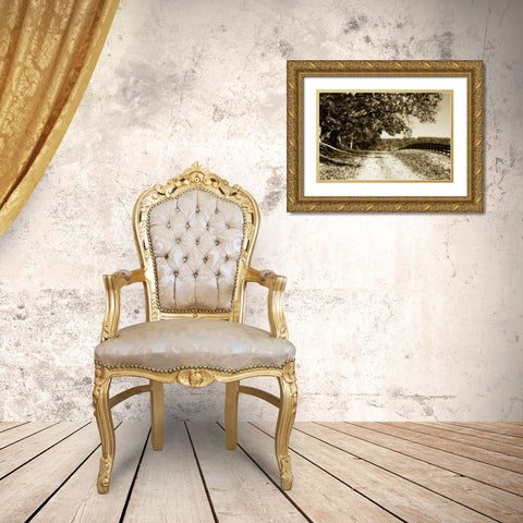 The Road Home I Gold Ornate Wood Framed Art Print with Double Matting by Hausenflock, Alan