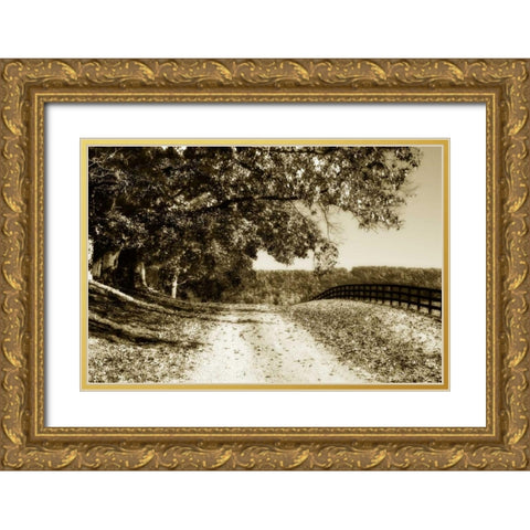 The Road Home I Gold Ornate Wood Framed Art Print with Double Matting by Hausenflock, Alan