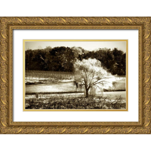 Vineyard I Gold Ornate Wood Framed Art Print with Double Matting by Hausenflock, Alan