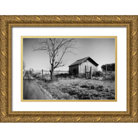 Rural Route VI32 II Gold Ornate Wood Framed Art Print with Double Matting by Hausenflock, Alan