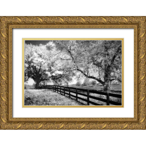 Rural Route III3 I Gold Ornate Wood Framed Art Print with Double Matting by Hausenflock, Alan