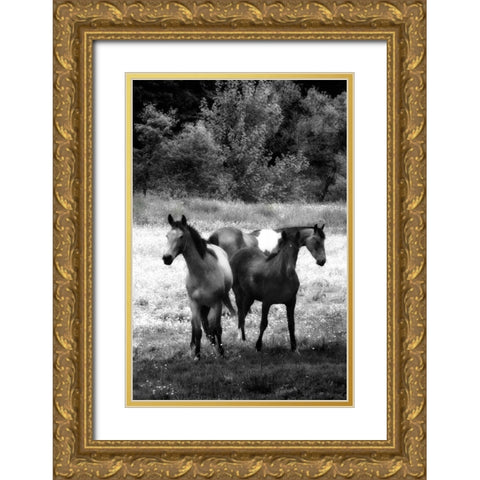 The Horses Three I Gold Ornate Wood Framed Art Print with Double Matting by Hausenflock, Alan
