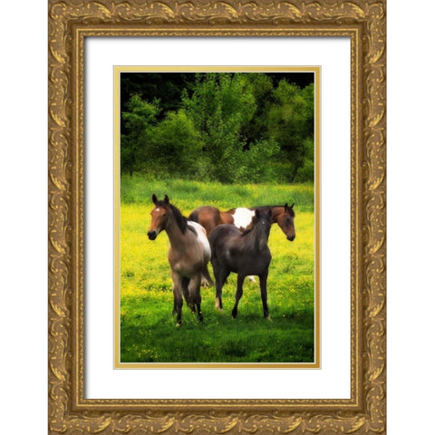 The Horses Three I Gold Ornate Wood Framed Art Print with Double Matting by Hausenflock, Alan