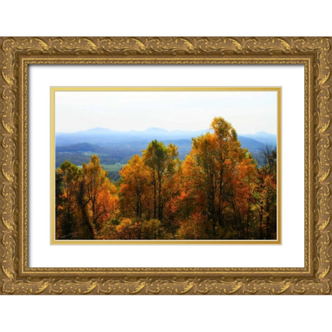 Shenandoah Valley I Gold Ornate Wood Framed Art Print with Double Matting by Hausenflock, Alan