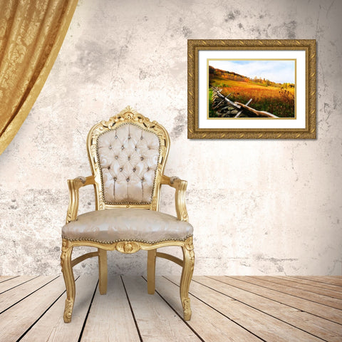 Fire Ridge I Gold Ornate Wood Framed Art Print with Double Matting by Hausenflock, Alan