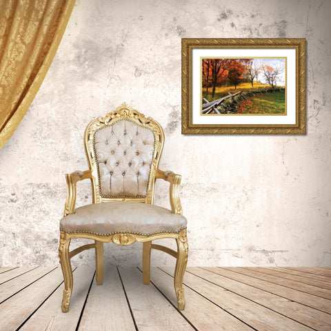 Fire Ridge II Gold Ornate Wood Framed Art Print with Double Matting by Hausenflock, Alan
