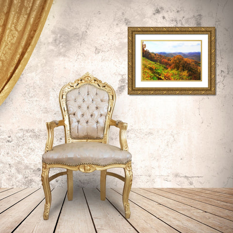 Sawmill Run Gold Ornate Wood Framed Art Print with Double Matting by Hausenflock, Alan