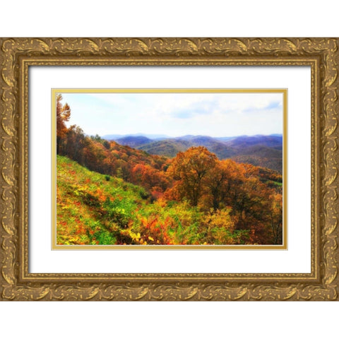 Sawmill Run Gold Ornate Wood Framed Art Print with Double Matting by Hausenflock, Alan