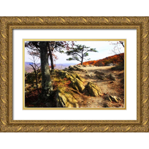 Stoney Ridge II Gold Ornate Wood Framed Art Print with Double Matting by Hausenflock, Alan