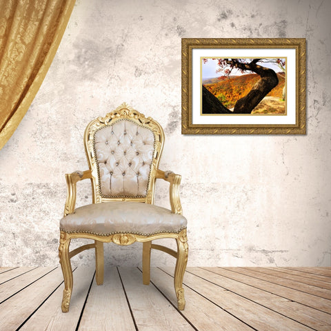 Wildcat Ridge I Gold Ornate Wood Framed Art Print with Double Matting by Hausenflock, Alan