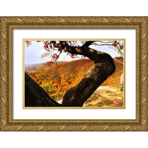 Wildcat Ridge I Gold Ornate Wood Framed Art Print with Double Matting by Hausenflock, Alan