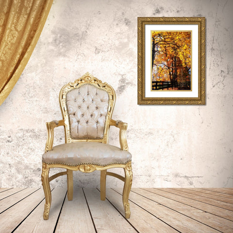 Boughs of Gold I Gold Ornate Wood Framed Art Print with Double Matting by Hausenflock, Alan