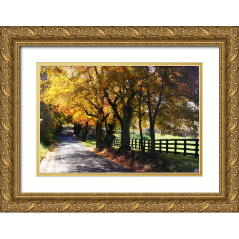 Country Road I Gold Ornate Wood Framed Art Print with Double Matting by Hausenflock, Alan