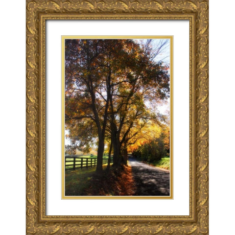Country Road III Gold Ornate Wood Framed Art Print with Double Matting by Hausenflock, Alan
