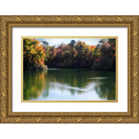 Swans on the Lake II Gold Ornate Wood Framed Art Print with Double Matting by Hausenflock, Alan
