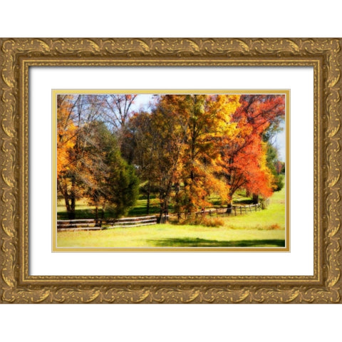 Keswick Pasture I Gold Ornate Wood Framed Art Print with Double Matting by Hausenflock, Alan