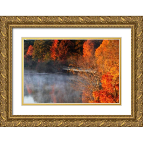 Cold Autumn Morning II Gold Ornate Wood Framed Art Print with Double Matting by Hausenflock, Alan