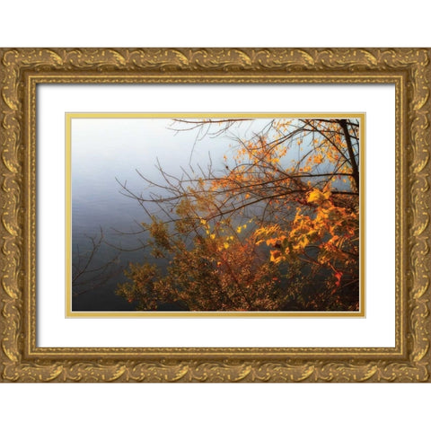 Leaves of Orange II Gold Ornate Wood Framed Art Print with Double Matting by Hausenflock, Alan
