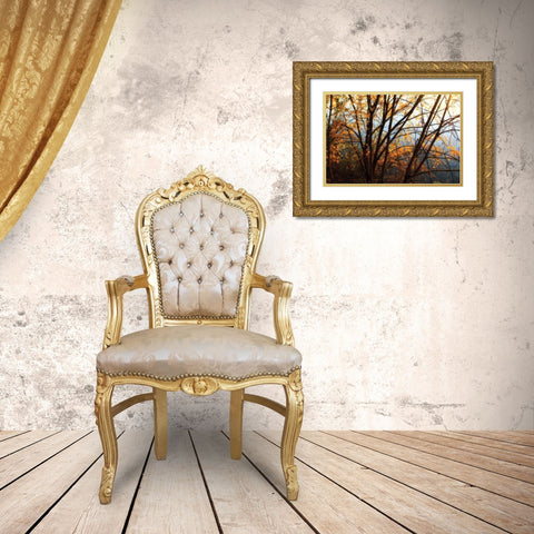 Leaves of Orange III Gold Ornate Wood Framed Art Print with Double Matting by Hausenflock, Alan