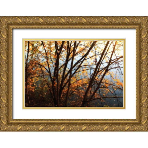 Leaves of Orange III Gold Ornate Wood Framed Art Print with Double Matting by Hausenflock, Alan