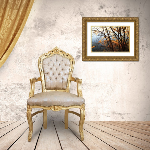 Leaves of Orange IV Gold Ornate Wood Framed Art Print with Double Matting by Hausenflock, Alan