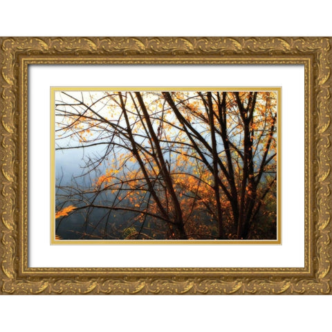 Leaves of Orange IV Gold Ornate Wood Framed Art Print with Double Matting by Hausenflock, Alan