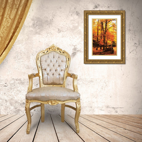 Split Rail Fence I Gold Ornate Wood Framed Art Print with Double Matting by Hausenflock, Alan