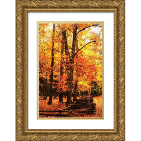 Split Rail Fence I Gold Ornate Wood Framed Art Print with Double Matting by Hausenflock, Alan