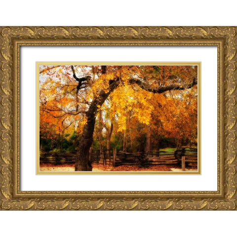 Split Rail Fence IV Gold Ornate Wood Framed Art Print with Double Matting by Hausenflock, Alan