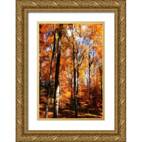 Autumn Cathedral I Gold Ornate Wood Framed Art Print with Double Matting by Hausenflock, Alan