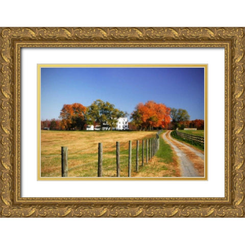 Family Farm II Gold Ornate Wood Framed Art Print with Double Matting by Hausenflock, Alan