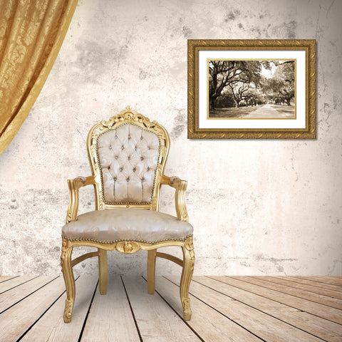 Charleston Oaks 10 Sepia Gold Ornate Wood Framed Art Print with Double Matting by Hausenflock, Alan