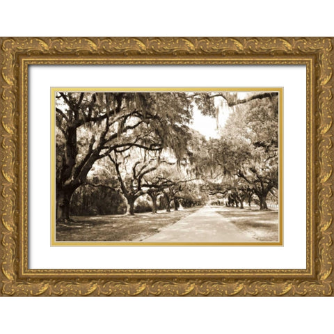 Charleston Oaks 10 Sepia Gold Ornate Wood Framed Art Print with Double Matting by Hausenflock, Alan