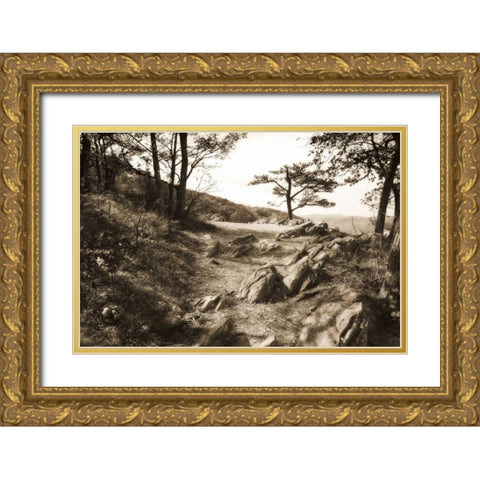 Stoney Ridge I Sepia Gold Ornate Wood Framed Art Print with Double Matting by Hausenflock, Alan