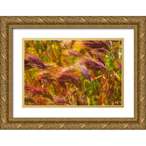 Colorful Brush Gold Ornate Wood Framed Art Print with Double Matting by Johnson, George
